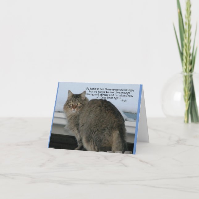 Rainbow Bridge - Cats Poem sympathy Card (Front)