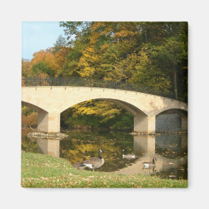 Rainbow Bridge in Fall at Grove City College Magnet