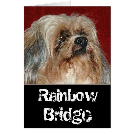 Rainbow Bridge - my buddy Card