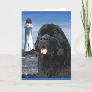 Rainbow Bridge Newfoundland dog Card