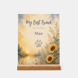 Rainbow Bridge Pet Memorial with Spotify Playlist Acrylic Sign