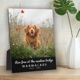 Rainbow Bridge Photo Pet Memorial Plaque