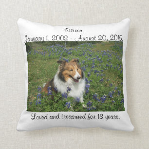 Rainbow Bridge Pillow