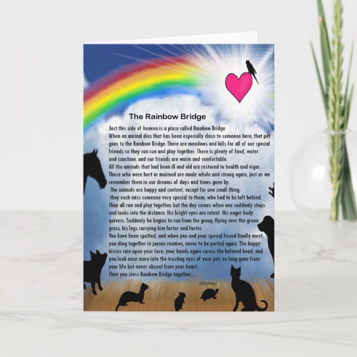 rainbow bridge poem card zazzlecouk