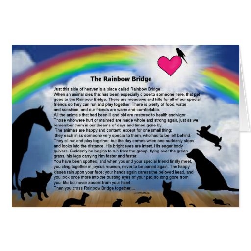 Rainbow Bridge Poem Greeting Card | Zazzle