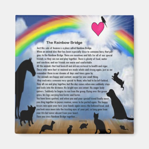 Image of Rainbow Bridge Poem Magnet
