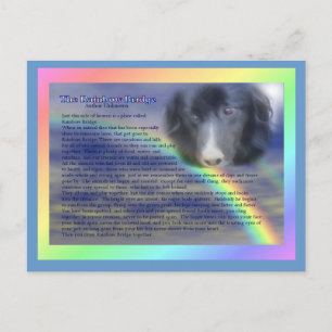 Rainbow Bridge Poem Pet Loss Sympathy Postcard