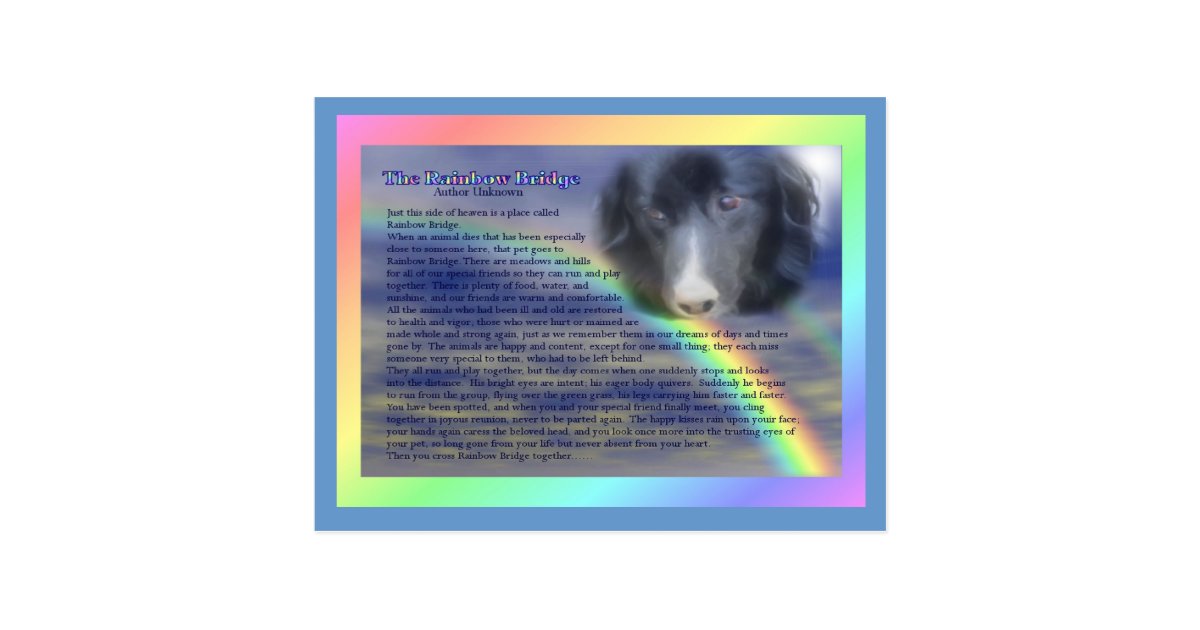 Rainbow Bridge Poem Pet Loss Sympathy Postcard Zazzle Co Uk