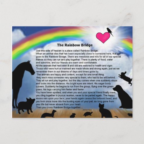 rainbow bridge poem gifts gift ideas zazzle uk