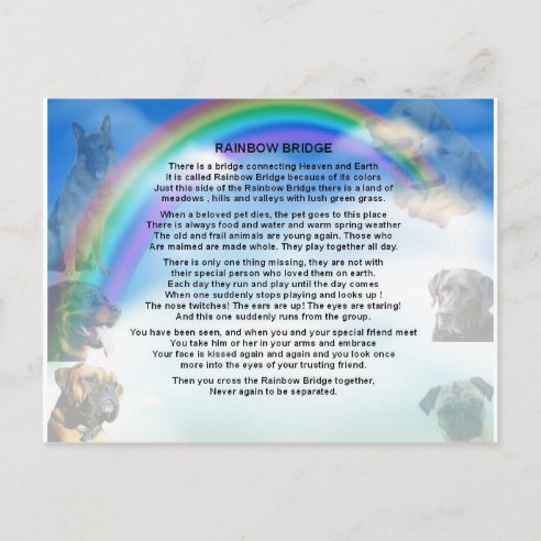 rainbow bridge gifts gift ideas zazzle uk