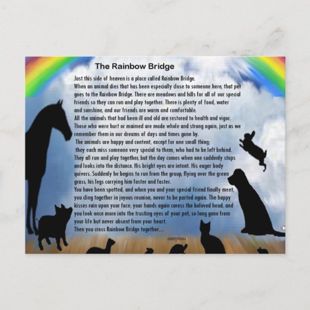 rainbow bridge gifts gift ideas zazzle uk