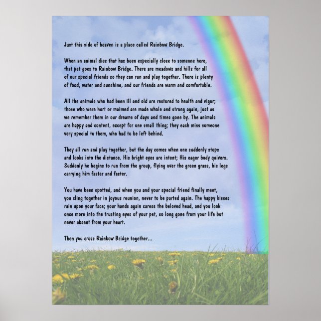 Rainbow Bridge Poster (Front)