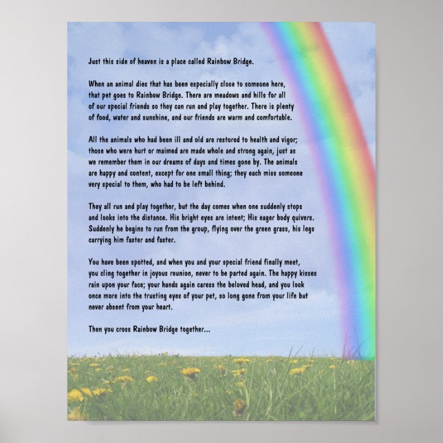 Rainbow Bridge Poster (Front)