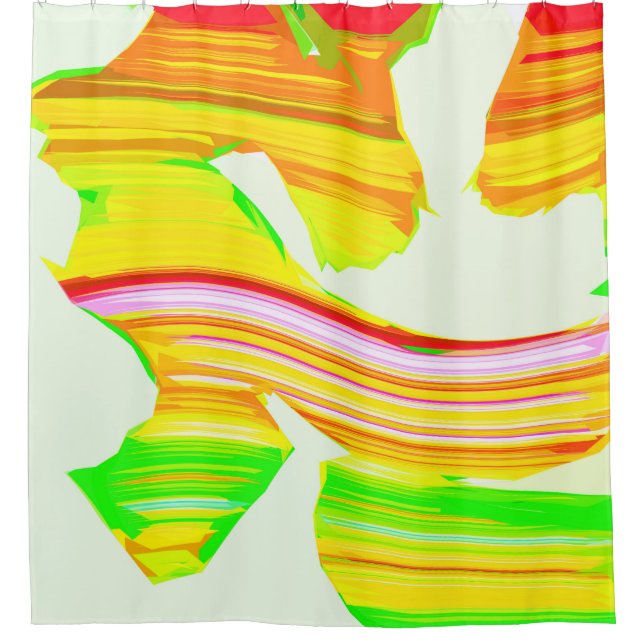Rainbow brush shower curtain (Front)
