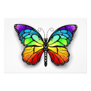 Rainbow butterfly Monarch Photo Print