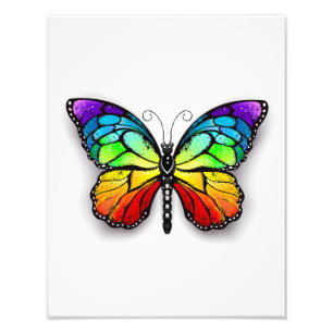 Rainbow butterfly Monarch Photo Print