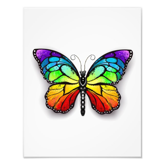 Rainbow butterfly Monarch Photo Print (Front)