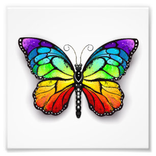 Rainbow butterfly Monarch Photo Print