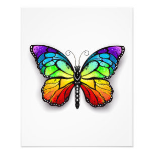 Rainbow butterfly Monarch Photo Print