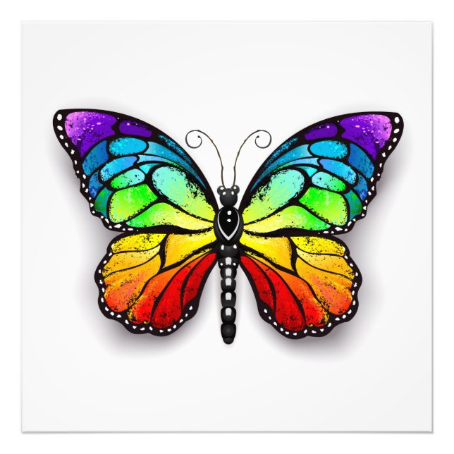 Rainbow butterfly Monarch Photo Print (Front)