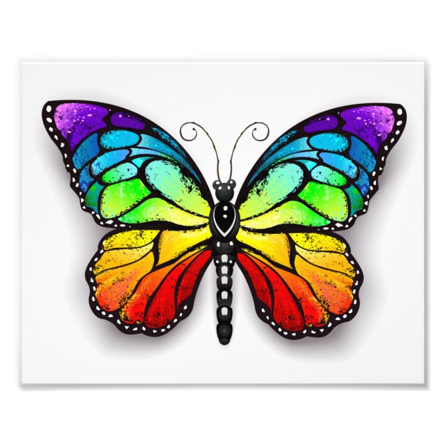 Rainbow butterfly Monarch Photo Print (Front)