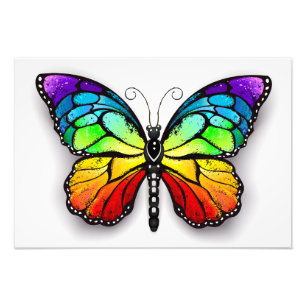 Rainbow butterfly Monarch Photo Print