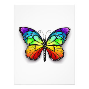 Rainbow butterfly Monarch Photo Print