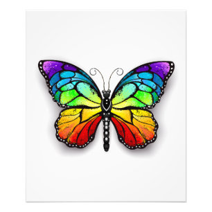 Rainbow butterfly Monarch Photo Print
