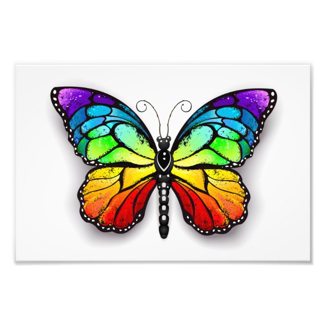 Rainbow butterfly Monarch Photo Print (Front)