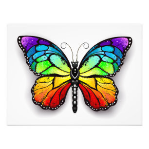 Rainbow butterfly Monarch Photo Print