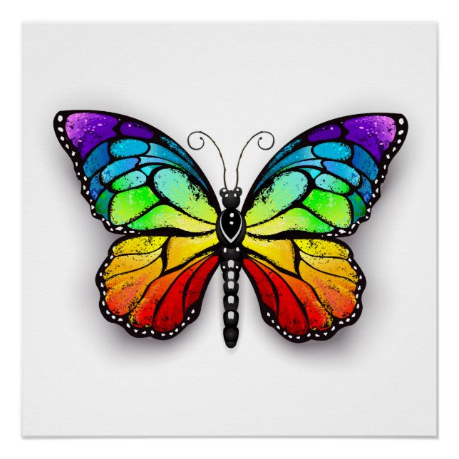 Rainbow butterfly Monarch Poster (Front)