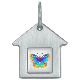 Rainbow Butterfly Peacock Eye Pet ID Tag