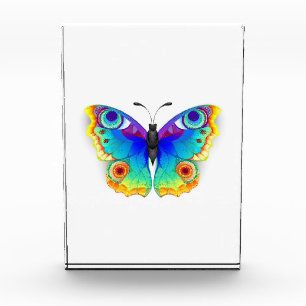 Rainbow Butterfly Peacock Eye Photo Block
