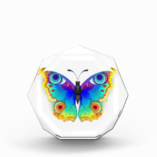 Rainbow Butterfly Peacock Eye Photo Block