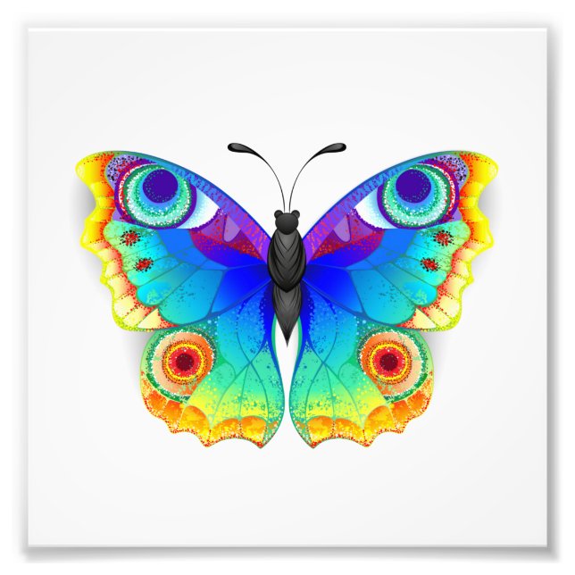 Rainbow Butterfly Peacock Eye Photo Print (Front)