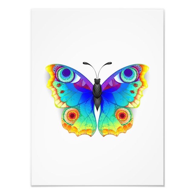 Rainbow Butterfly Peacock Eye Photo Print (Front)