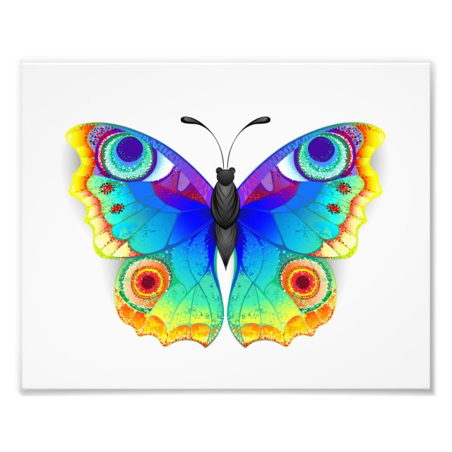 Rainbow Butterfly Peacock Eye Photo Print (Front)