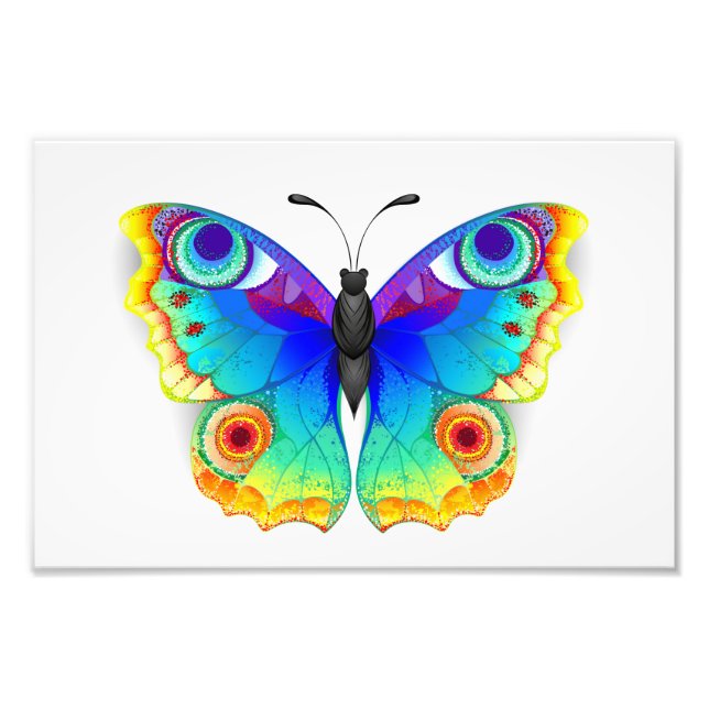 Rainbow Butterfly Peacock Eye Photo Print (Front)