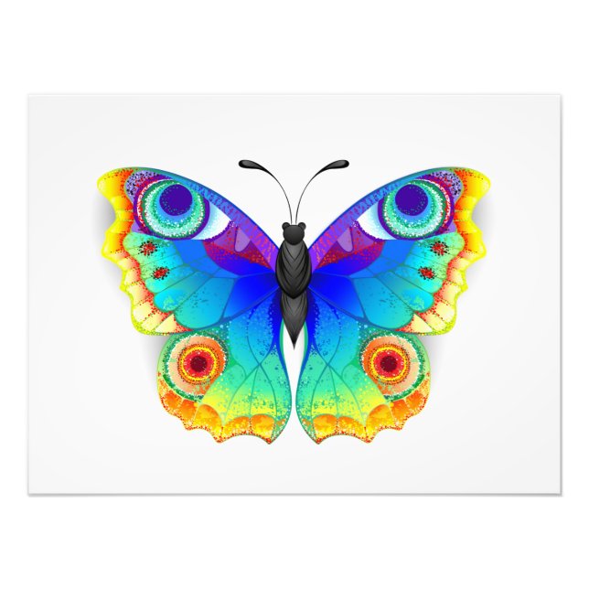 Rainbow Butterfly Peacock Eye Photo Print (Front)