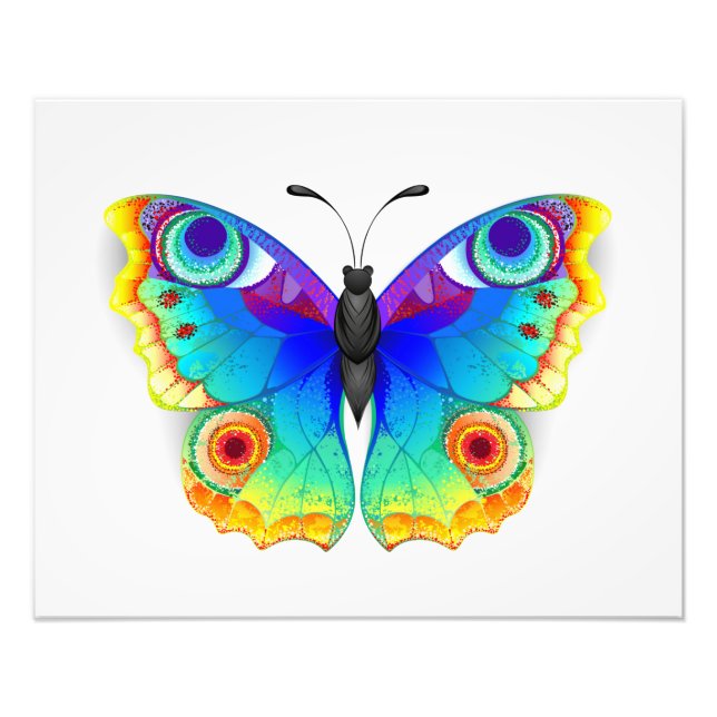 Rainbow Butterfly Peacock Eye Photo Print (Front)