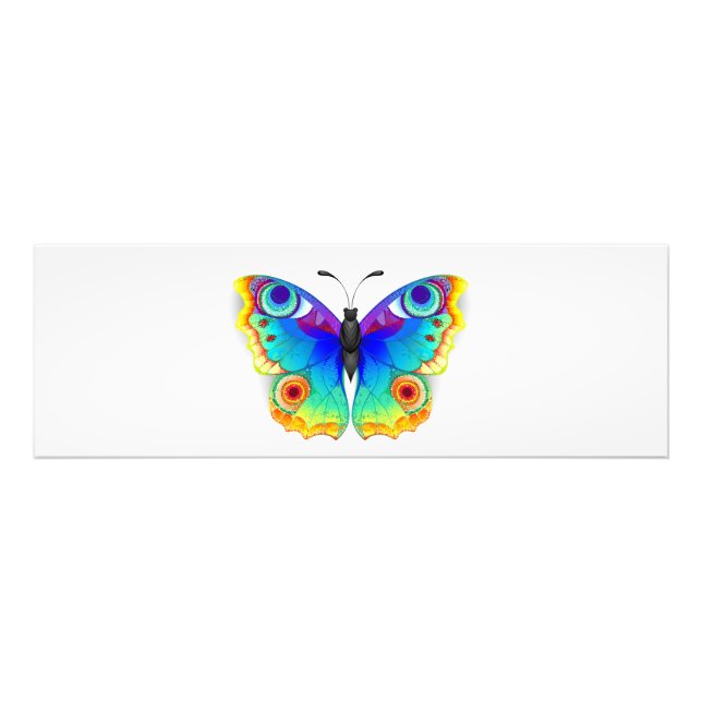 Rainbow Butterfly Peacock Eye Photo Print (Front)