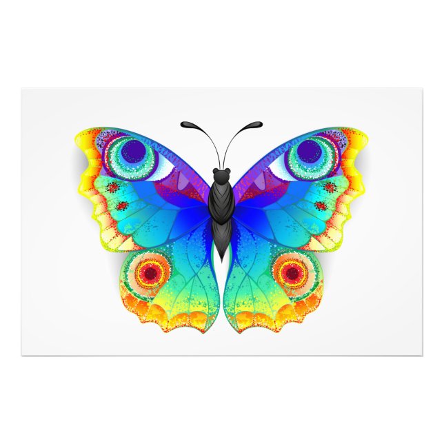 Rainbow Butterfly Peacock Eye Photo Print (Front)