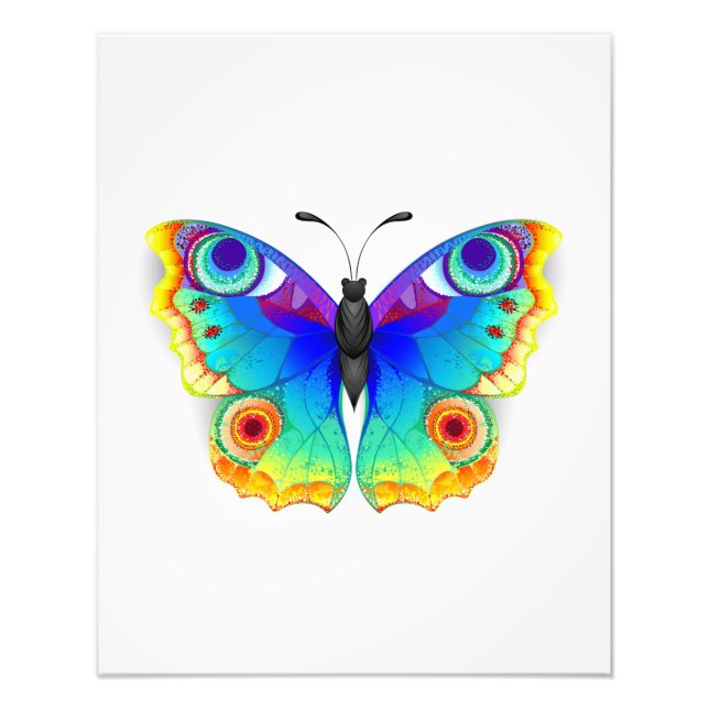 Rainbow Butterfly Peacock Eye Photo Print (Front)
