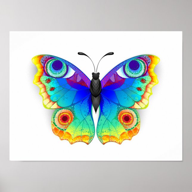 Rainbow Butterfly Peacock Eye Poster (Front)