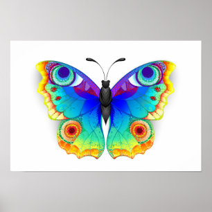 Rainbow Butterfly Peacock Eye Poster