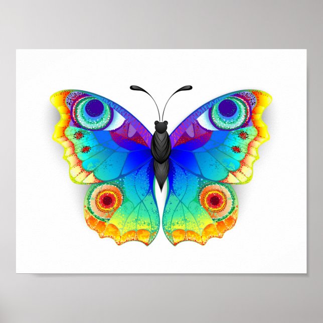 Rainbow Butterfly Peacock Eye Poster (Front)
