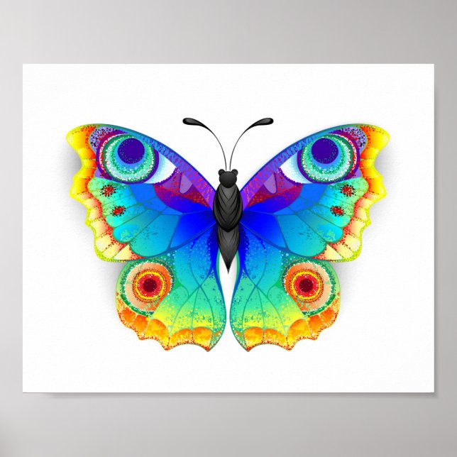 Rainbow Butterfly Peacock Eye Poster (Front)