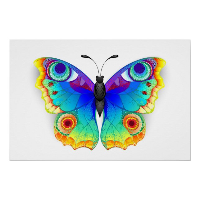 Rainbow Butterfly Peacock Eye Poster (Front)