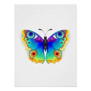 Rainbow Butterfly Peacock Eye Poster