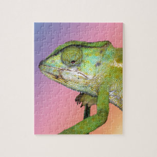 Rainbow chameleon jigsaw puzzle